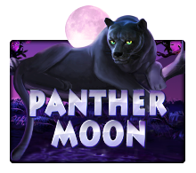 Joker Gaming Panther Moon
