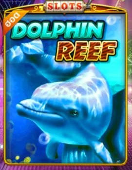 Pussy888 FREE 24hr | ทดลองเล่น Dolphin Reef 2021 ได้เงินจริง