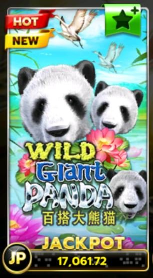 slotxo-Wild-Giant-Panda